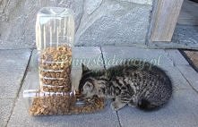 Potrzebne:
2x plastikowe butelki 5l
Nóż lub nożyczki
 Wykonanie :
W 1 butelce wytnij 2 dość szerokie dziury na tym samym boku.
W 2 butelce wytnij 1 dziurę u góry.
Teraz napełnij...