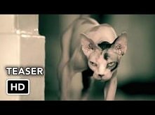 American Horror Story