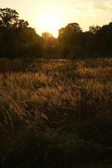 taki piękny zachód słońca *.*