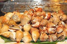 Ślimaki zapiekane w muszlach