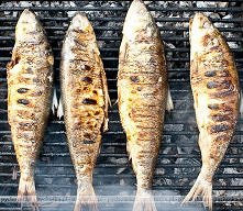 Filet z pstrąga na plastrach cebuli grillowany