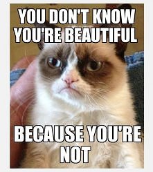 grumpy cat <3
