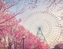 uminspireland.blogspot.com