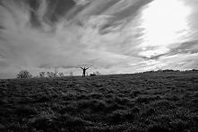 'W życiu piękne są tylko chwile'