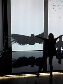 ....wtedy latam 
.. then I fly