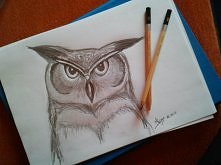 rysunek. Sowa.