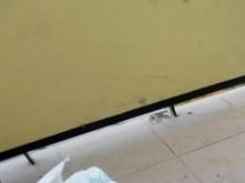 Pomysl na... ogrodek na bal...