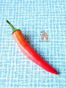 czuszka niezastąpiona do pl...