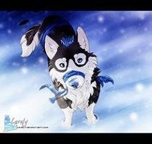 Blue Husky...