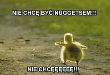 śmieszne czy smutne?