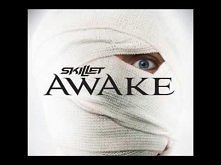 Skillet - Awake and Alive 
Komentarz zbędny.