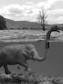 prawdziwy potwór z loch nes...