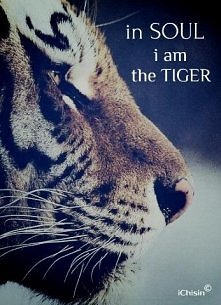 in soul i am the tiger.