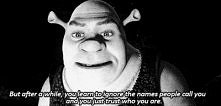 Shrek <3