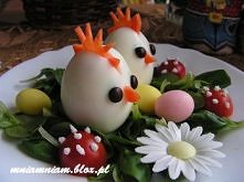 Bracia-kurczaczki na łące