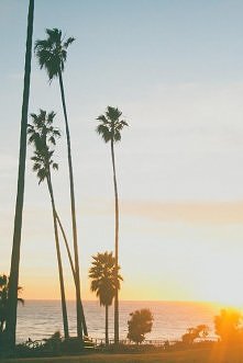 miami..