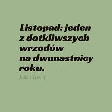 Listopad według J. Tuwima ;)