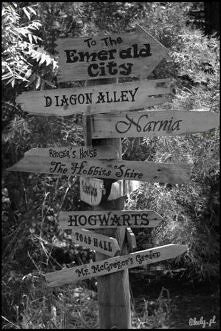 Przepraszam, którędy do...