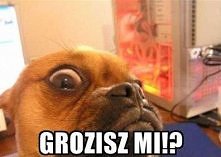 Grozisz mi?
