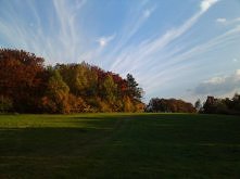 Łąka w Górach Bydlińskich