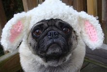 dla mojego synka Arturka