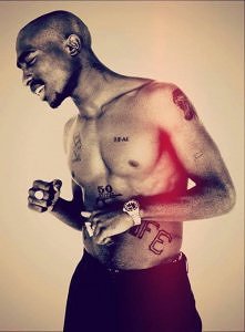 Róża ,która wyrosła na betonie...