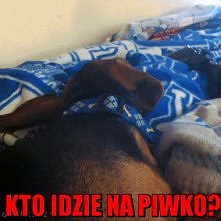 ktoidziena piwko