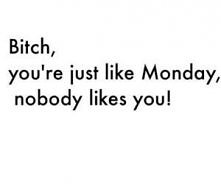 Bitch. you're just like Monday , nobody like you!