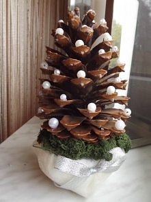 choineczka z szyszki :)