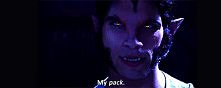 Scott gif.