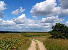 Jeśli jest ciężko, to znaczy, że idziesz w dobrą stronę.