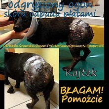 Jeśli CHCESZ i MOŻESZ, po p...