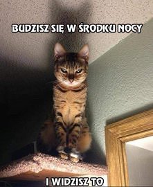 Budzisz się w środku...