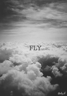 FLY...