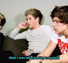 BosKi Nialler hahaha ♥