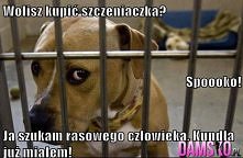 czy trzeba coś dodawać?