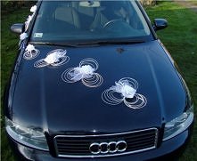 Białe róże, ładne?