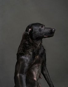 tuż przed egzekucją