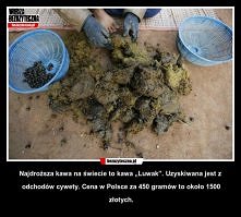 UUUUU wygląda ohydnie ale c...