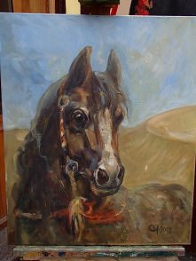 coś dla miłośników koni :)