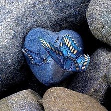 ........................