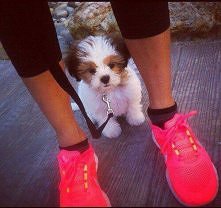 Biegacie ze swoimi pupilkami ? <3