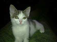 Tosia - modeleczka <3