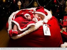 christmas photography