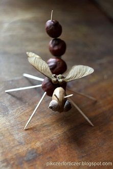 więcej zwierzątek na blogu:)