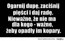o to chodzi!