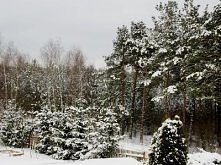 Mieszkam w bajce! ;) Zeszło...