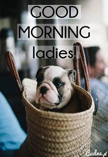 Cześć dziewczyny : D
Śpic...