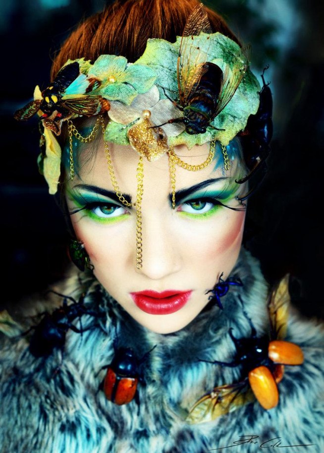 Lady bug by Pixie Cold