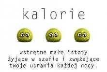KALORIE !!!